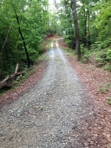Lake House for 4 Guests in Blue Ridge Mountains, Caesars Head State Park, Picture 1