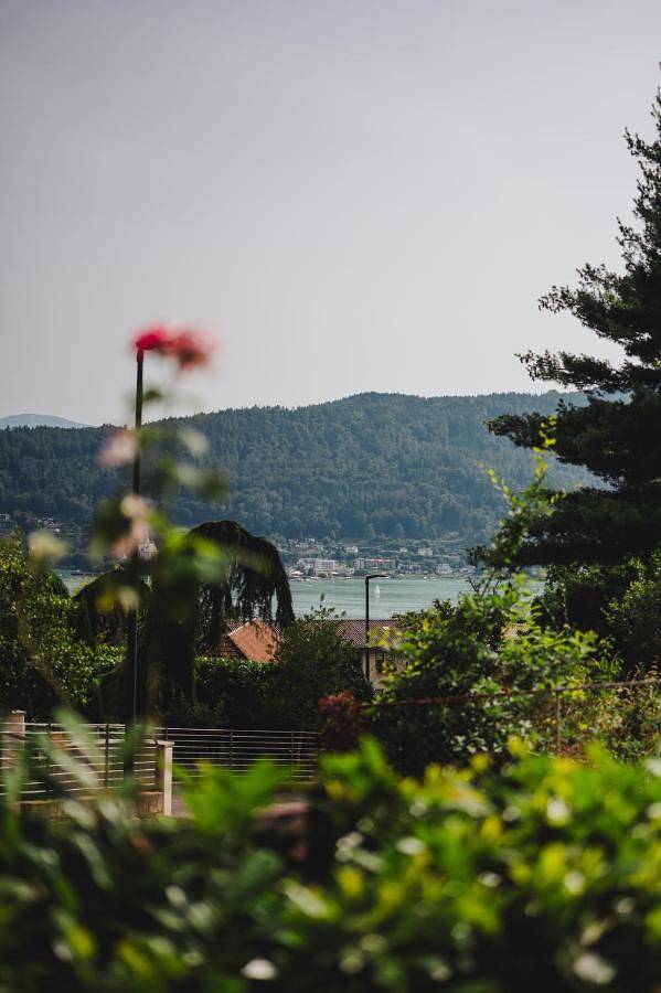 Ganze Wohnung, One-Bedroom Apartment in Pörtschach am Wörthersee, Klagenfurt-Land