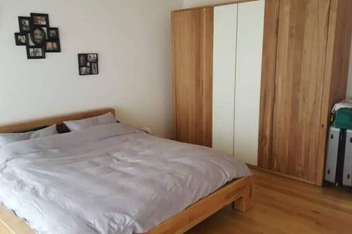 Brand New Open Concept Whole House in Plessur Alpen