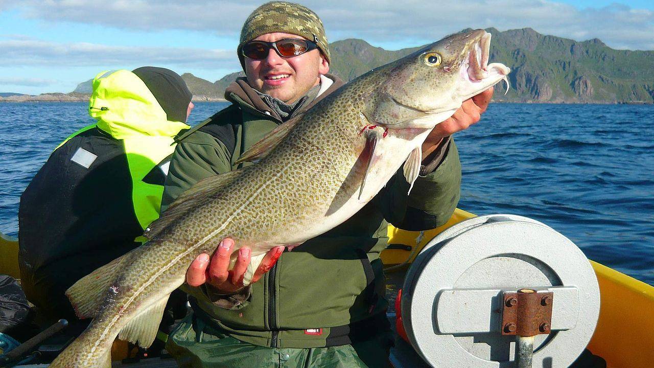 Ferienhaus für 4 Personen (80 m²) in Gravdal in Vestvågøy