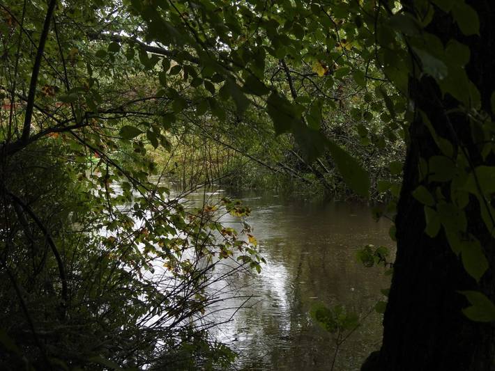 Ferienhaus für 5 Personen, mit Terrasse, kinderfreundlich in Bratten - 3