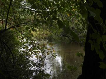 Ferieudlejning til 5 Personer i Bratten, Jerup, Billede 2