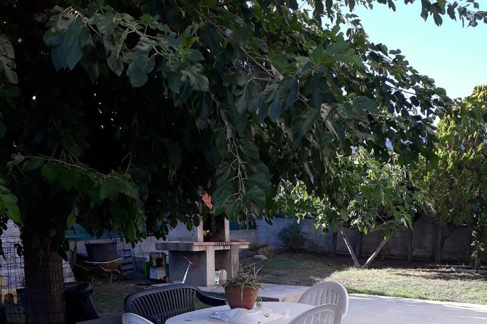 Ganze Wohnung, T2 Wohnung Sommervermietung in Biguglia, Bastia und Umgebung