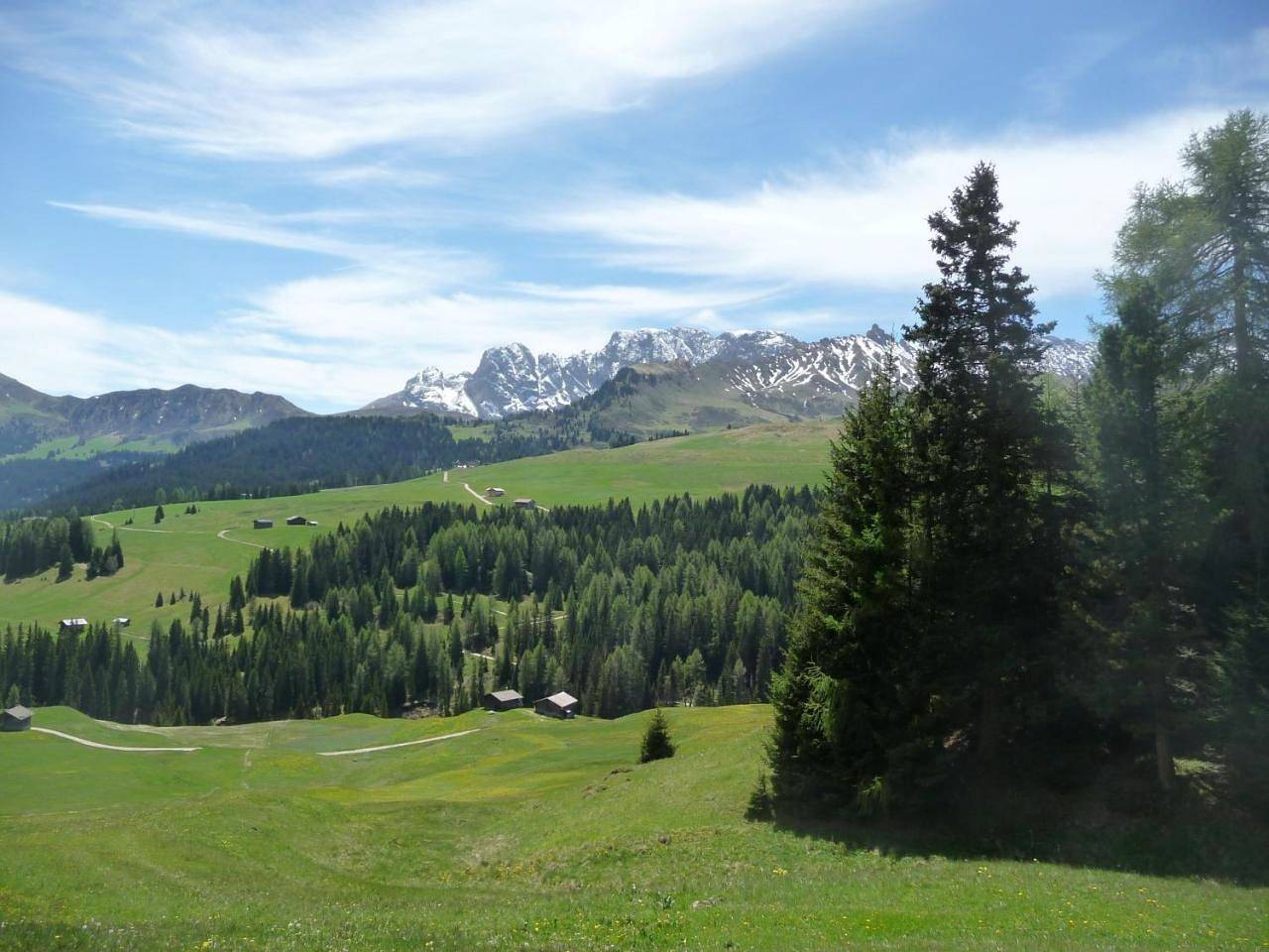 Villa Grünewald in Seis am Schlern, Castelrotto