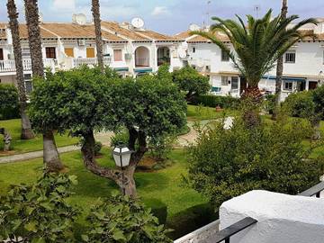 Bungalow für 4 Personen in Orihuela, Costa Blanca, Bild 1