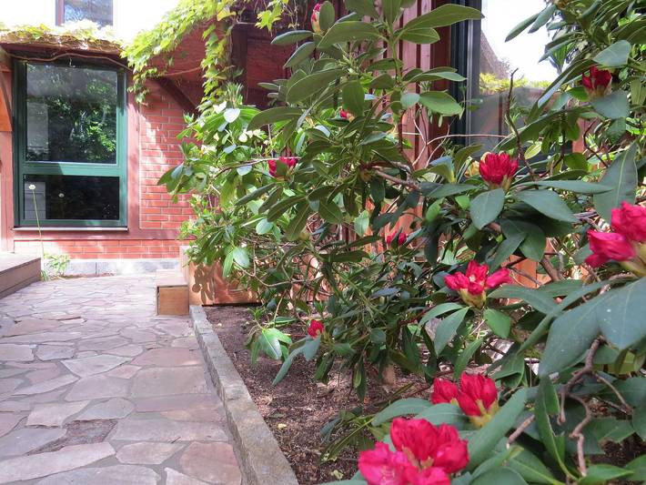 Ferienhaus für 6 Personen, mit Terrasse und Garten in Wustrow - 4