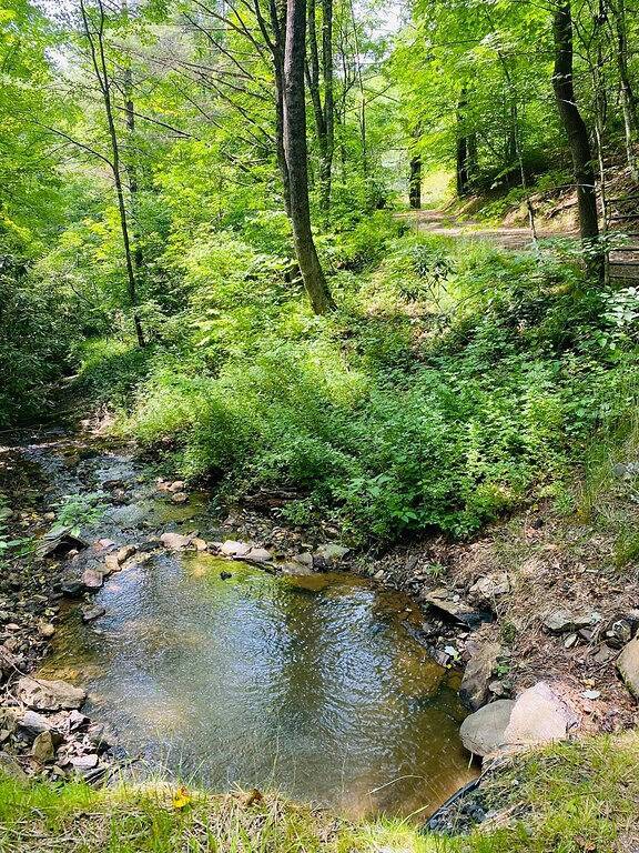 Pet-friendly, private, refuge. Monthly renters welcome. No extra fees. in Ashe County