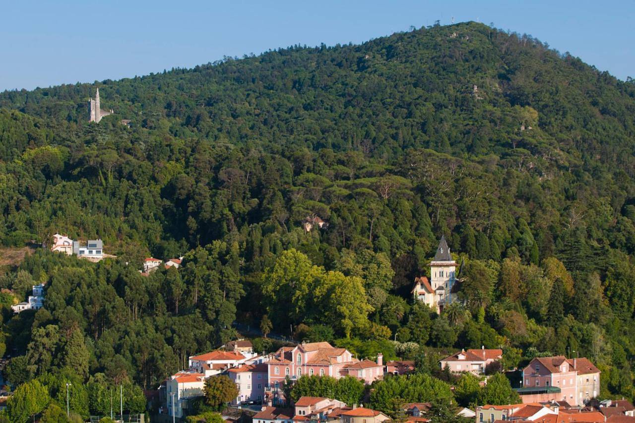 Alegre - Bussaco Boutique Hotel in Serra do Buçaco, Luso