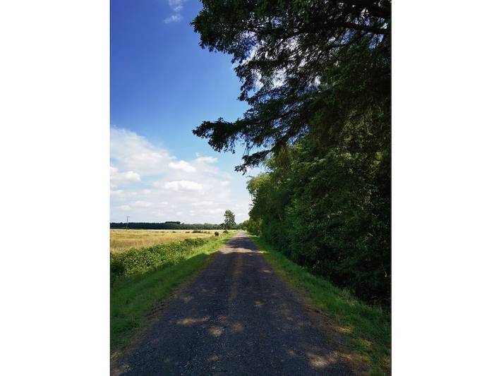 Ferienhaus für 12 Personen, mit Garten und Sauna, mit Haustier in Mittelholstein - 3