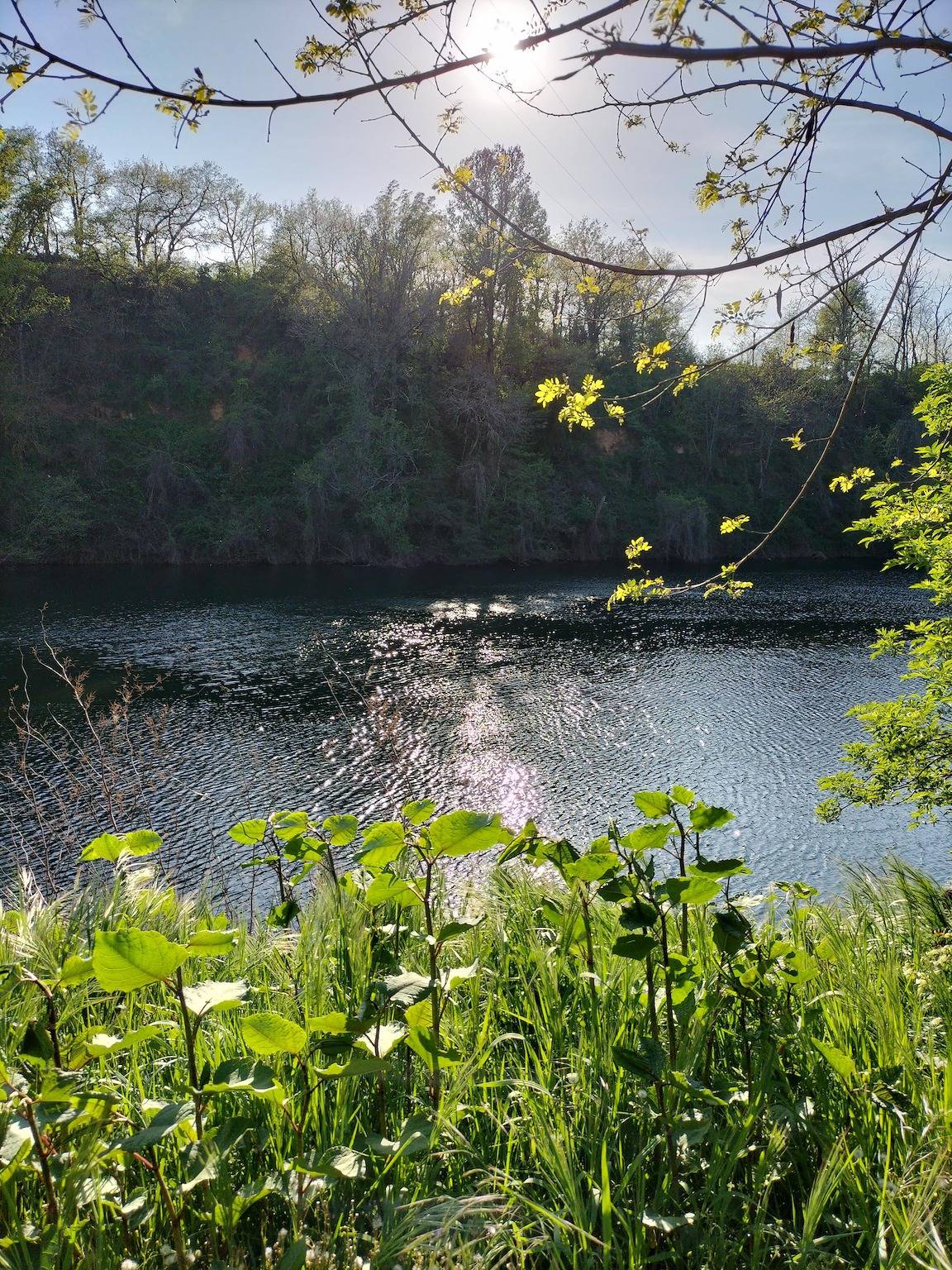 Ô fil du Tarn in Lescure-d'Albigeois, Albi region