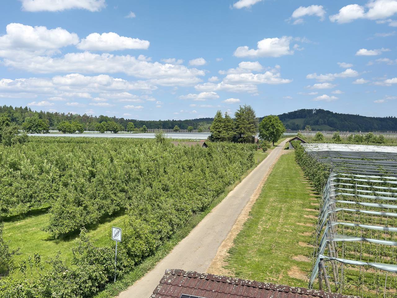 Ganze Wohnung, Ferienwohnung "Haus Blütenmeer" in Langenargen, Region Bodensee-Oberschwaben