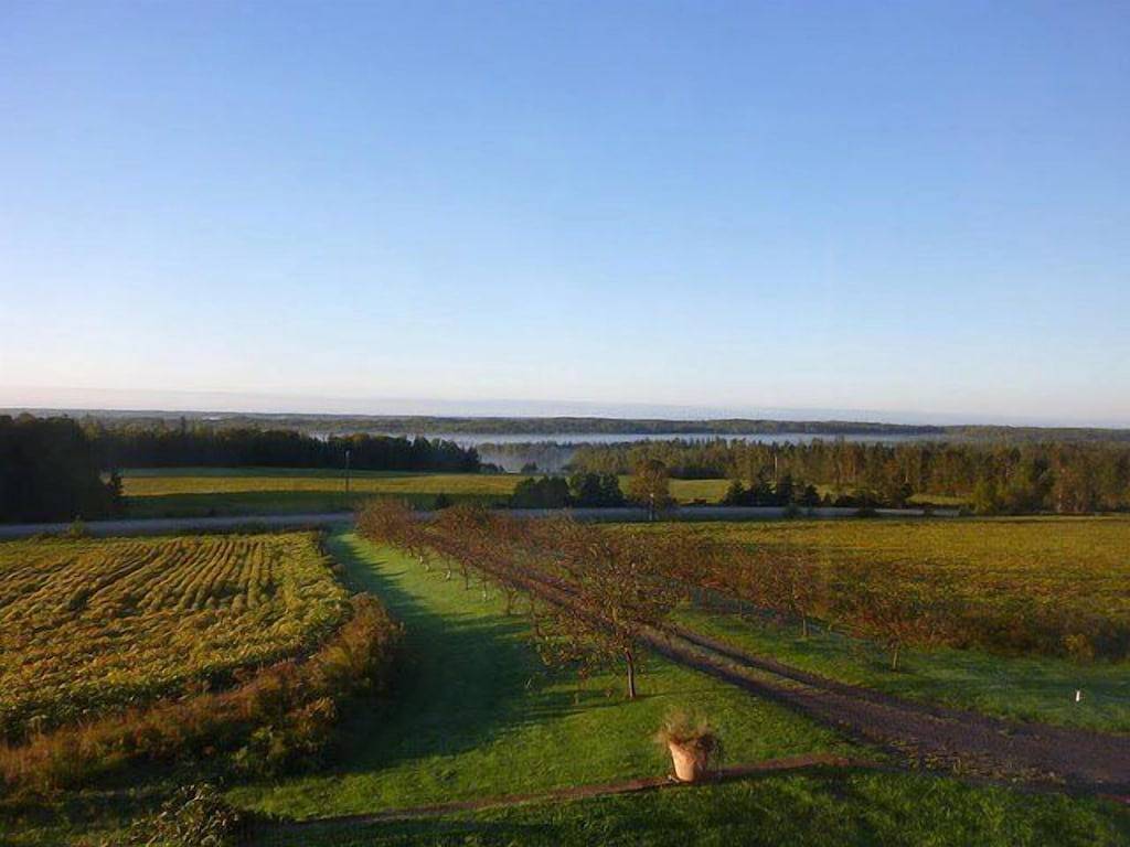 Großes, jahrhundertealtes Haus mit Bio-Weinberg. Sehr privat mit grandioser Aussicht. in Kings County (Kanada)