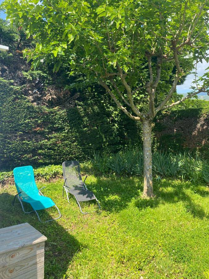 Location de vacances pour 6 personnes, avec jardin et vue ainsi que terrasse et piscine, animaux acceptés à Saint-Appolinard - 2