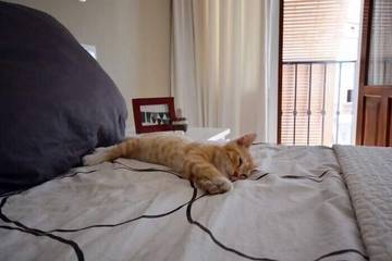 Apartment for 4 People in Frigiliana Road, Frigiliana, Photo 2