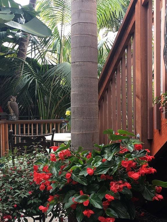 Private schöne saubere Beachy-Close to All Retreat in Encinitas, San Diego County