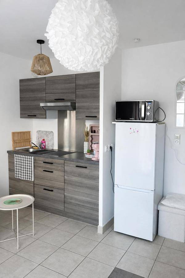 Gîte pour 3 personnes, avec terrasse et vue à Ferrières-en-Brie - 3