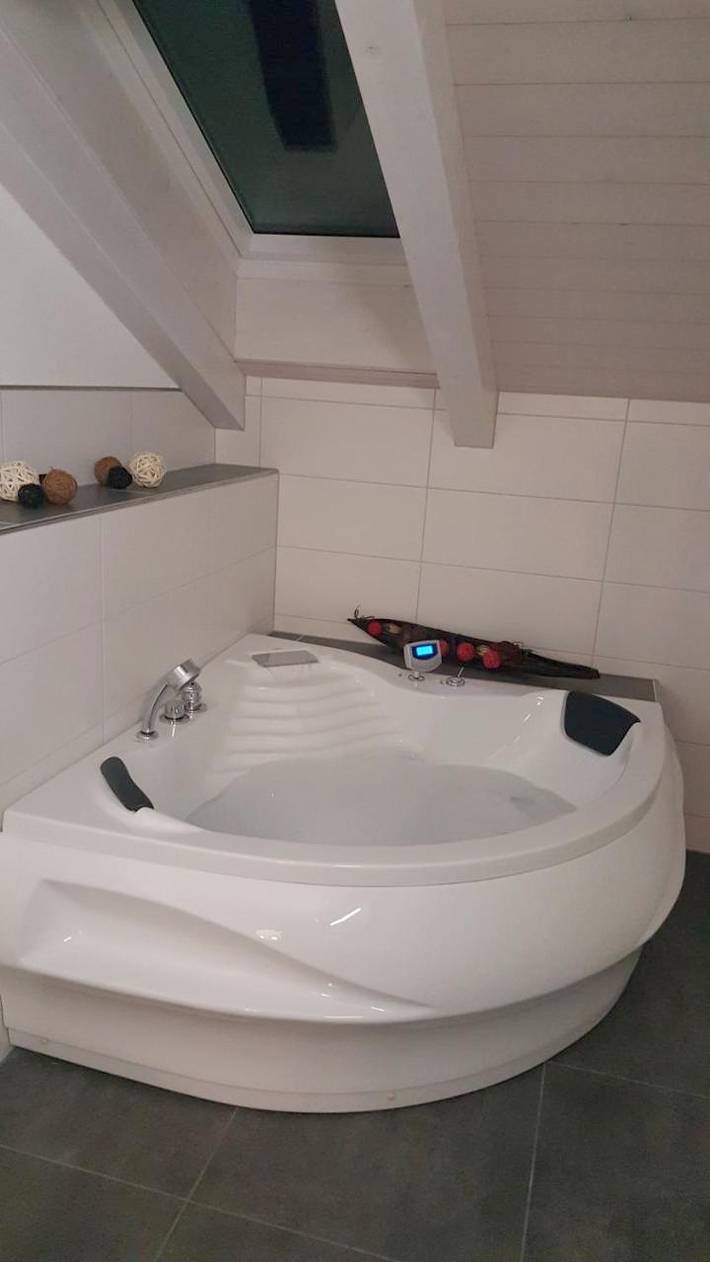 Gîte pour 16 personnes, avec vue sur le lac ainsi que terrasse et vue, animaux acceptés à Spiez - 3