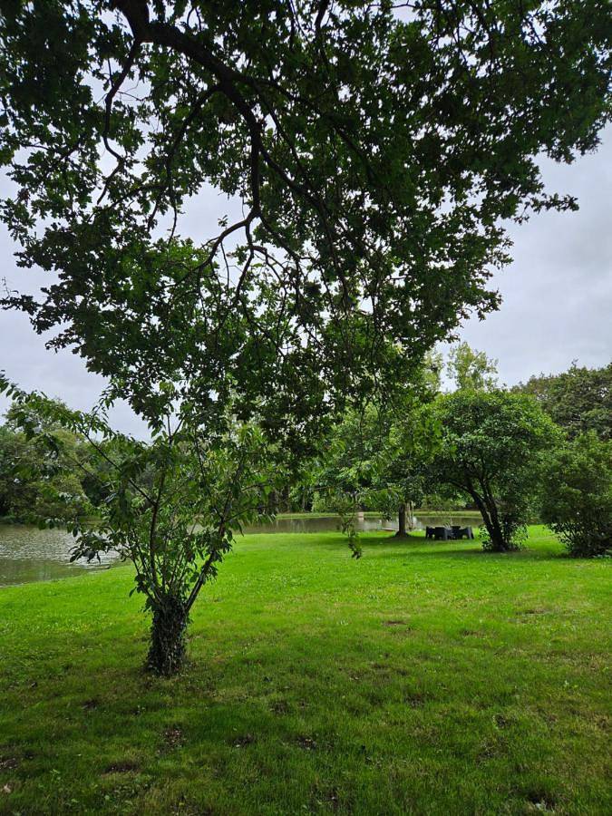 Gîte pour 2 personnes, avec jardin ainsi que terrasse et vue à Challans - 2