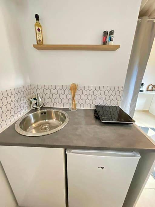 Gîte pour 2 personnes, avec terrasse, animaux acceptés à Dardilly - 4