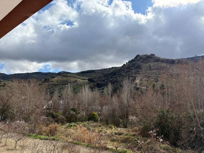 Gîte pour 4 personnes, avec jacuzzi à Pinos Genil - 2