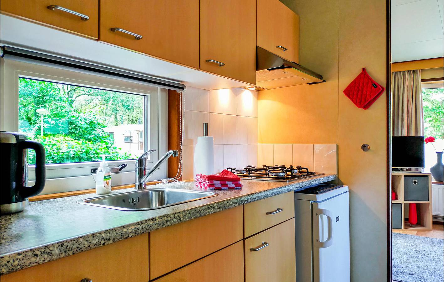 Ferienhaus für 2 Personen mit Terrasse in Drenthe