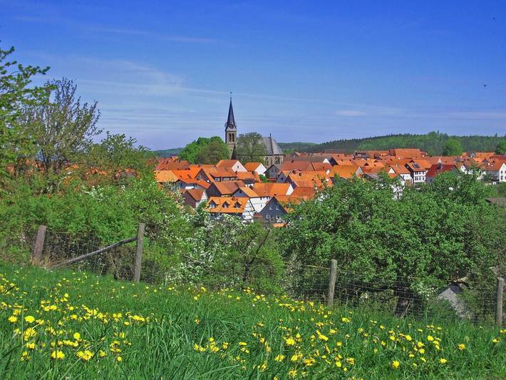 Ferienwohnung für 5 Personen, mit Terrasse und Garten sowie Ausblick in Frankenau - 3