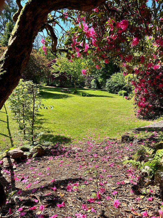Holiday rental for 4 people, with garden and view, with pets in Eskdale