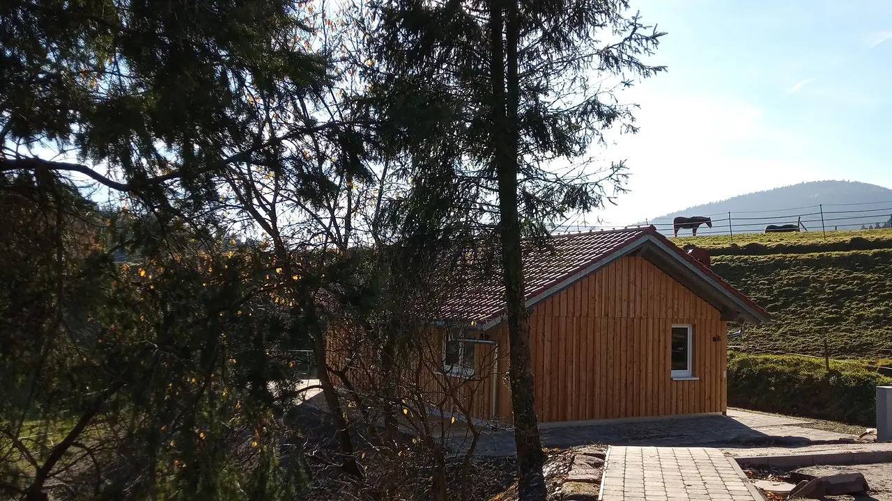 Ferienhaus für 4 Personen (54 m²) in Baiersbronn in Baiersbronn, Nordschwarzwald