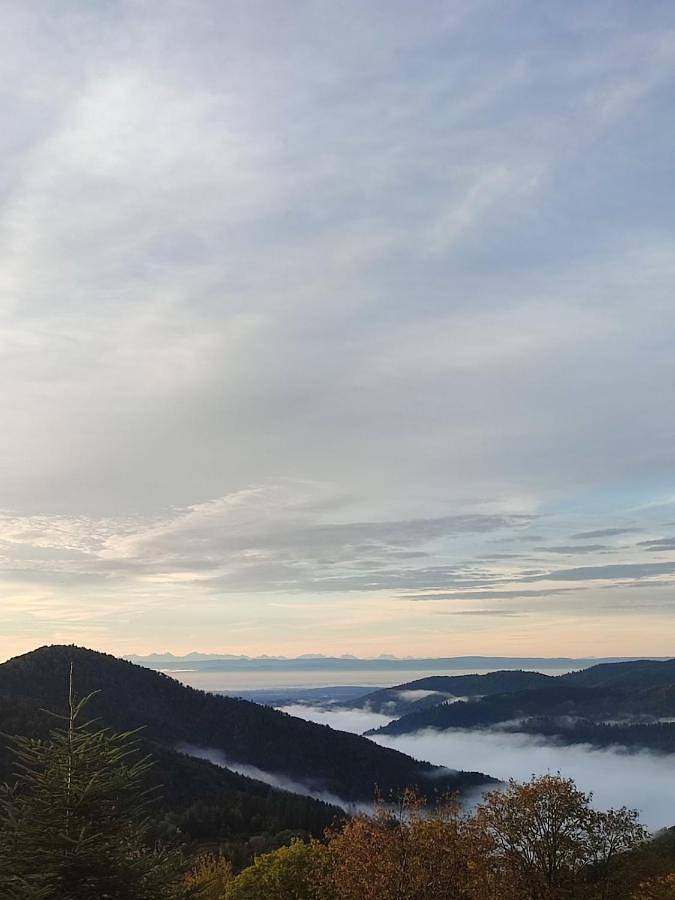 Location de vacances pour 6 personnes, avec terrasse et jardin, animaux acceptés à Saint-Amarin - 4