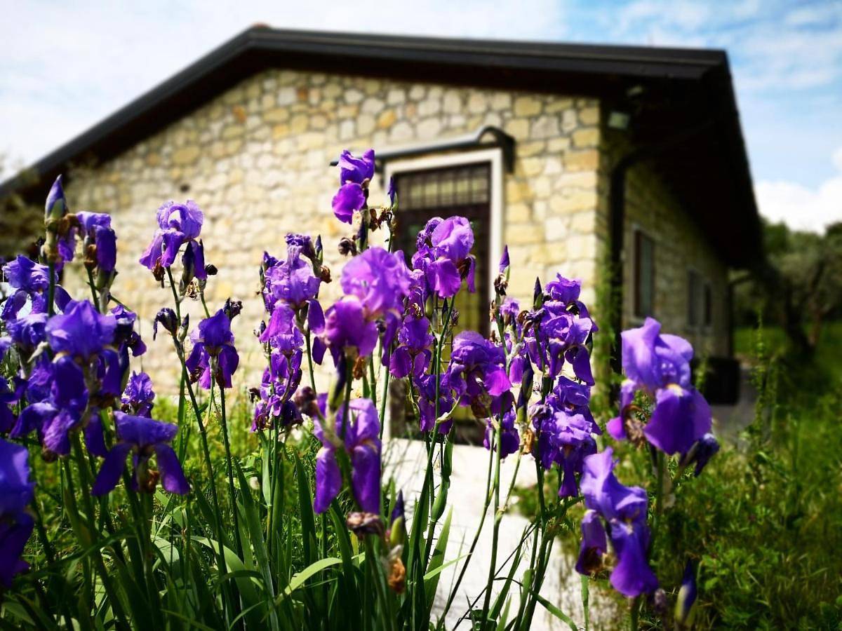 Agriturismo Bosco Magico in Verona, Verona Provinz