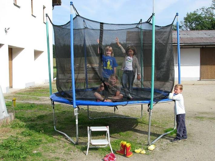 Bauernhof für 2 Personen, mit Garten und Terrasse, mit Haustier im Bayerischer Wald - 4