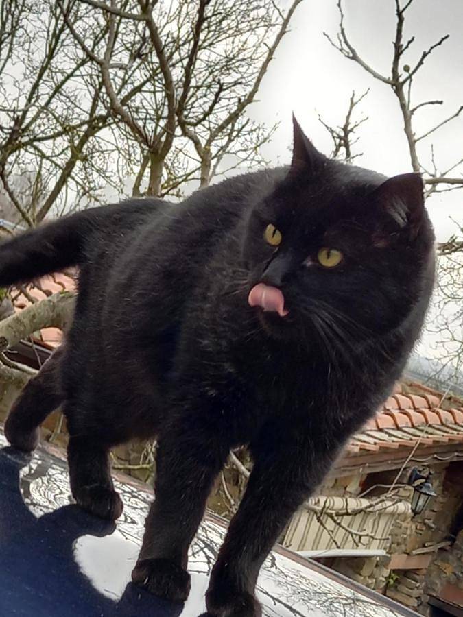 Location de vacances pour 2 personnes, avec vue et jardin à Sinalunga - 3