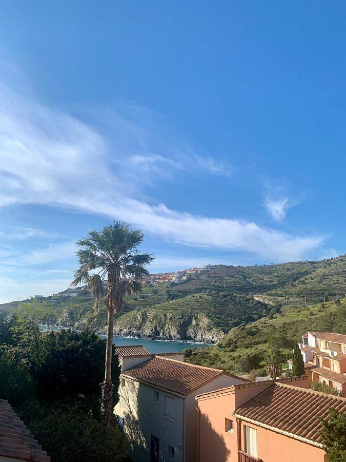 Location de vacances pour 2 personnes, avec piscine et terrasse à Cerbère