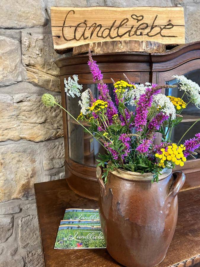 Ferienwohnung für 4 Personen, mit Garten und Ausblick in Uhlstädt-Kirchhasel