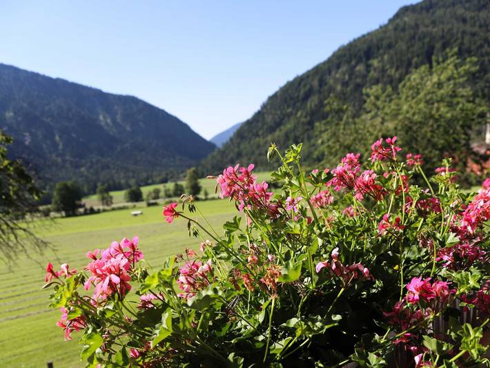 Ferienwohnung für 2 Personen, mit Balkon und Terrasse sowie Garten und Ausblick in Bayrischzell - 3