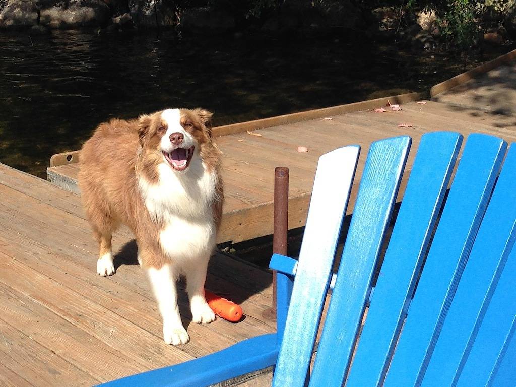 Gemütliche Hütte mit See- und Bergblick in Rutland County