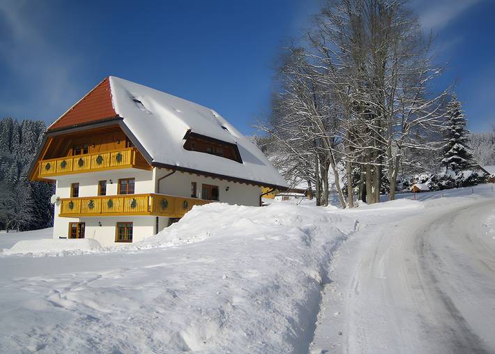 Ferienwohnung für 4 Personen, mit Garten in Titisee-Neustadt - 3