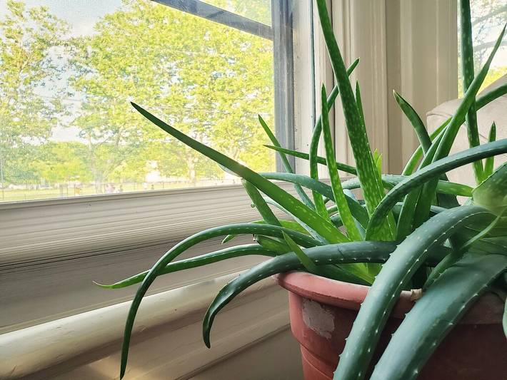 Vacation rental for 2 people in Providence