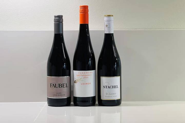 Ferienhaus für 2 Personen, mit Terrasse und Garten in Edenkoben - 4