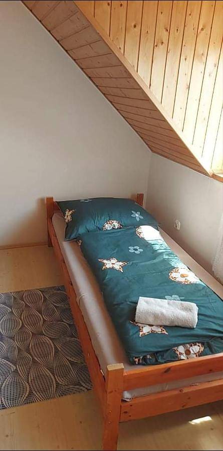 Ganze Wohnung, Kéktúrás-Tóra Nyíló Badacsonyi privát bérlemény in Badacsonytomaj, Balaton Region