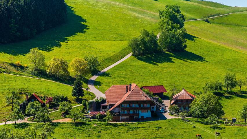 Gîte pour 6 personnes, avec jardin à Mühlenbach - 4