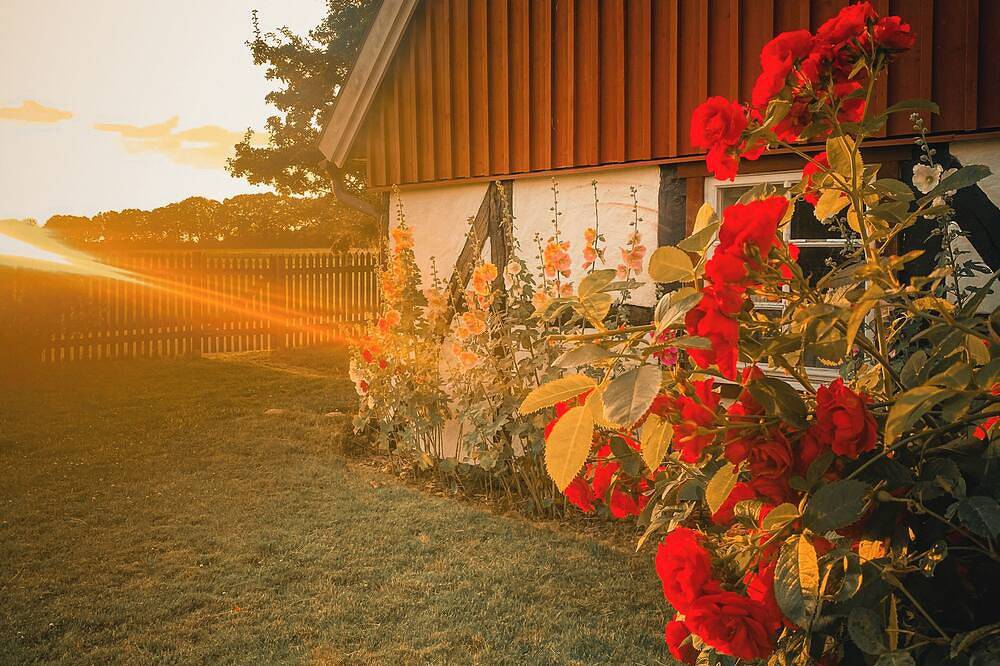 Gorgeous and cosy 3-bedroom house in beautiful landscape. in Helsingborg, Skane