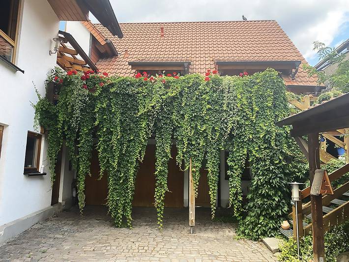 Ferienhaus für 5 Personen in der Pfalz - 3