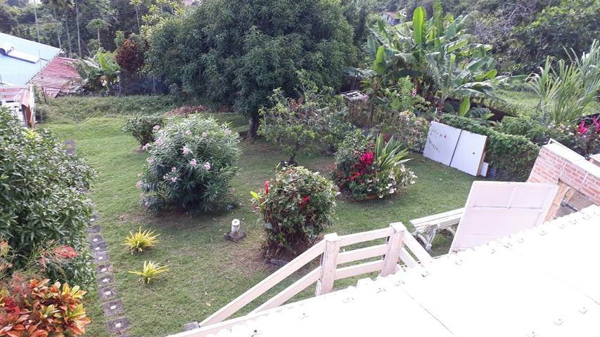Gîte pour 2 personnes, avec piscine ainsi que vue et jardin à Le Lorrain (Martinique) - 3