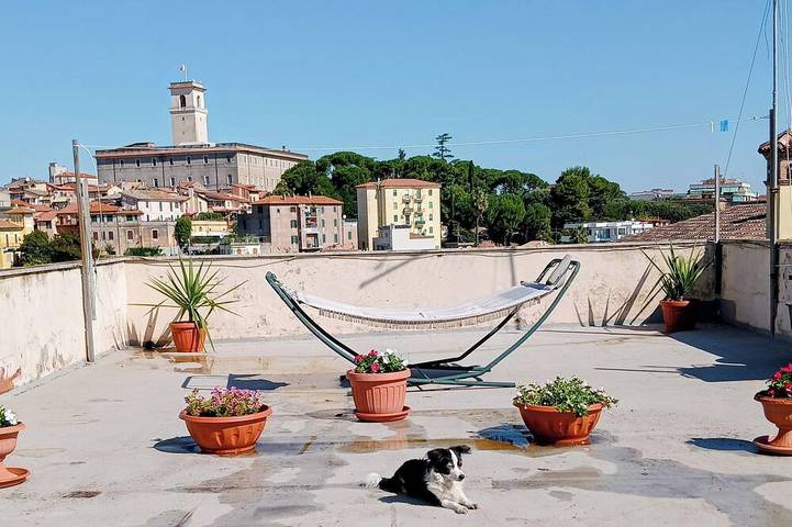 Apartamento entero, Panoramic terrace \"Fiorepelli\" in Monterotondo, Provincia de Roma