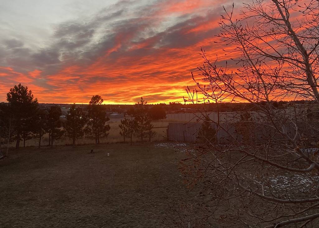 Ganze Wohnung, Country Living for Grandparents, Travel Nurses and Execs! in Centennial, Arapahoe County