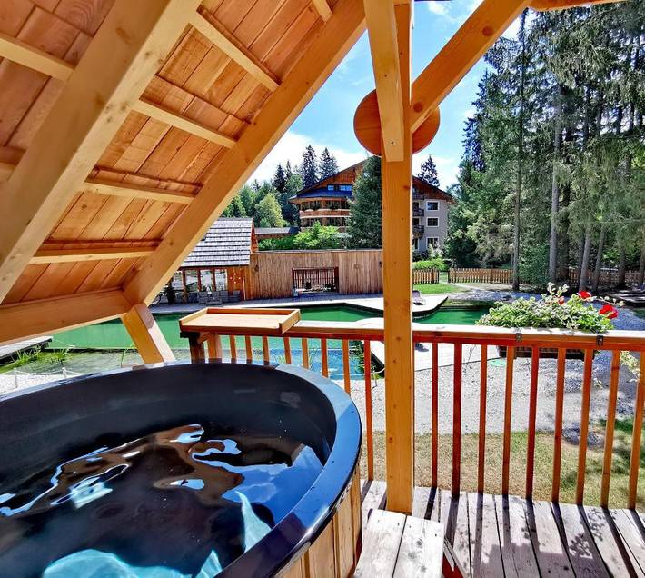 Gîte pour 4 personnes, avec vue et terrasse ainsi que piscine et sauna à Bled - 2