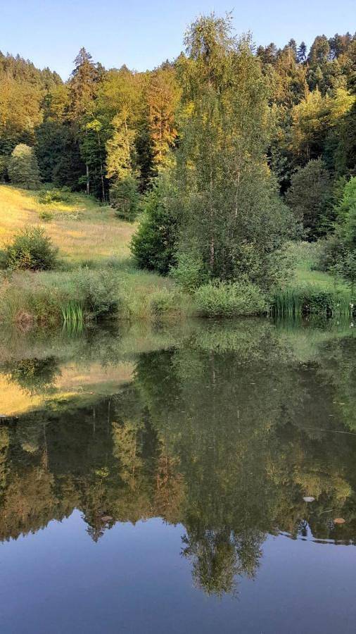 Three-Bedroom Chalet in Basse-sur-le-Rupt, Parc naturel régional des Ballons des Vosges