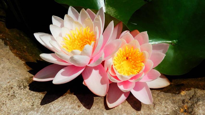 Chambre d’hôte pour 2 personnes, avec piscine ainsi que jardin et terrasse, adapté aux familles à Uzès - 3