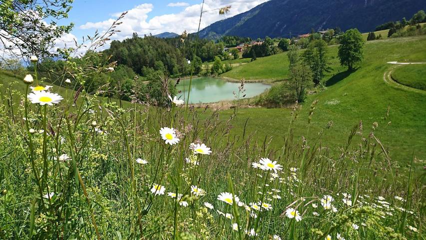 Bauernhof für 4 Personen, mit Garten in Österreich - 3